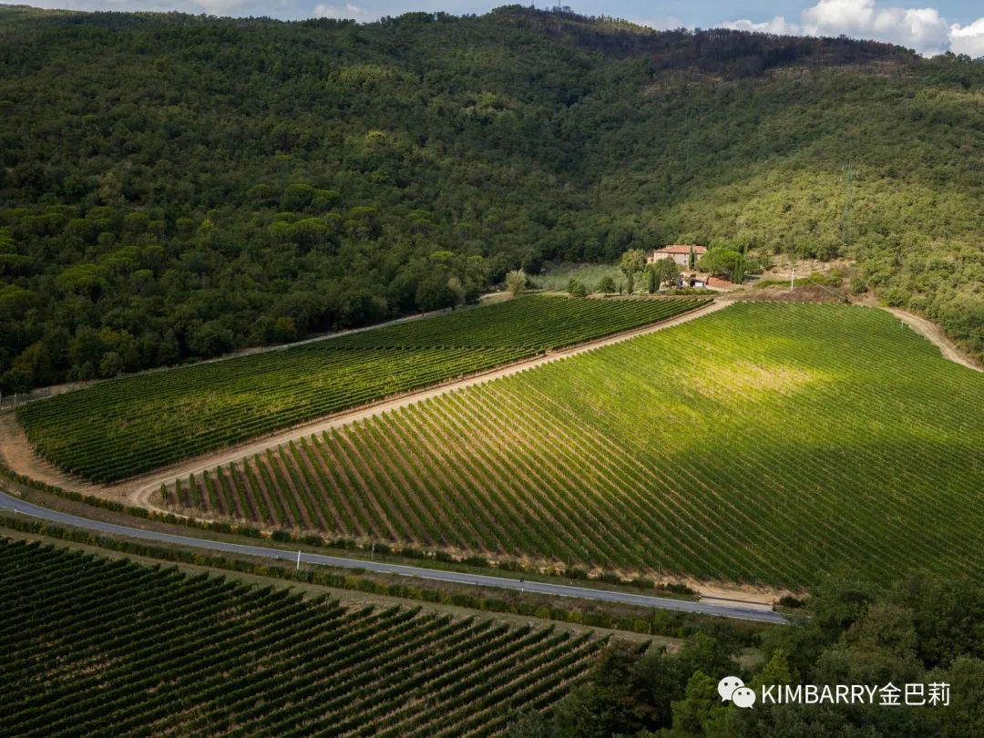 知名酒窖,全球顶级葡萄酒及酒庄