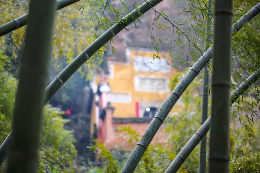 金华泡温泉攻略,金华泡温泉地方推荐