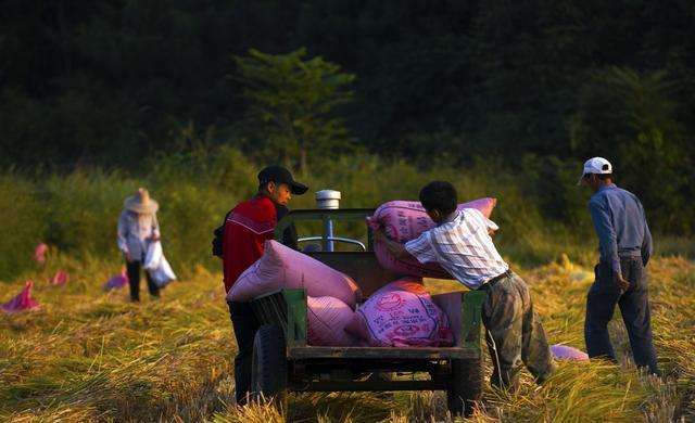 家庭教育不要压榨童年,家庭教育搞不好犯法吗