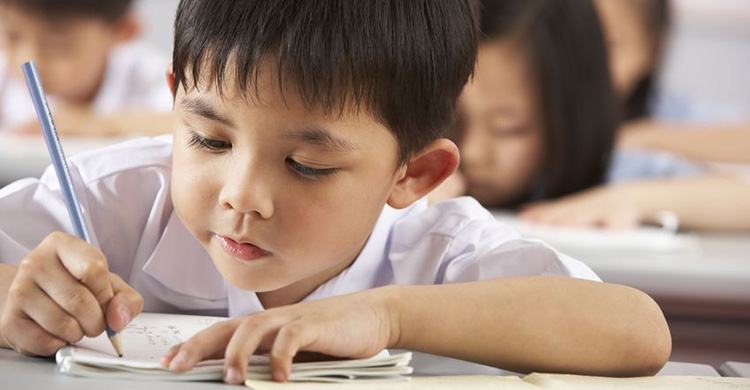 小学语文句子题知识点大全,一年级小学字词句专项复习及训练