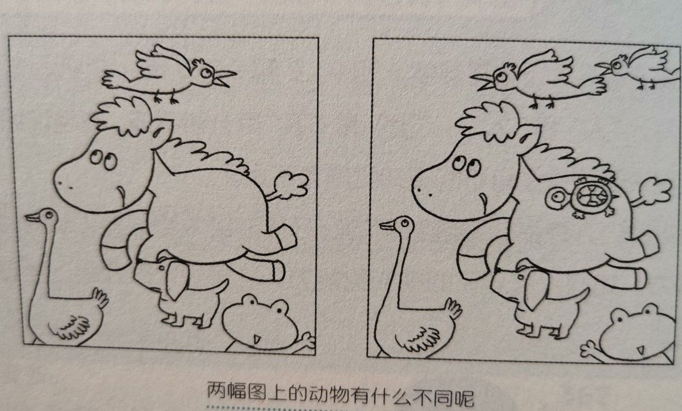 注意力评估训练指导,注意力训练认知训练