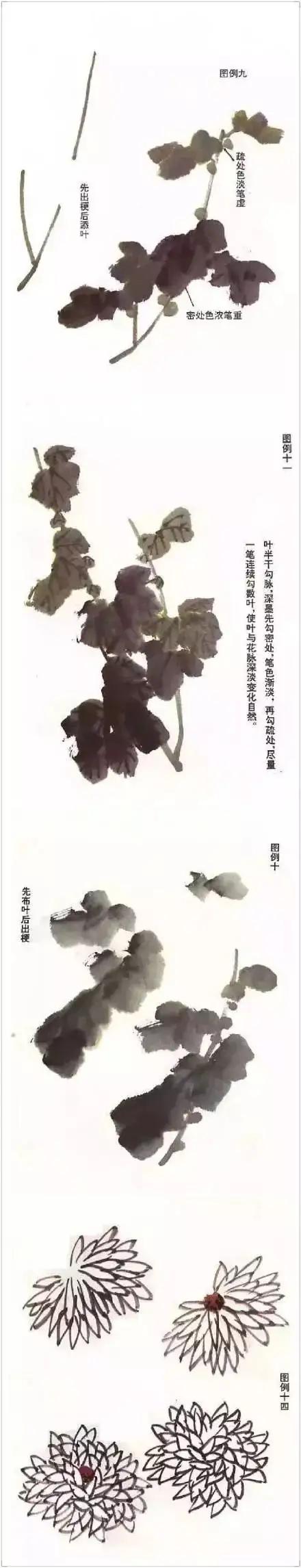 各种花卉的画法大全图片,各种花卉画法步骤图