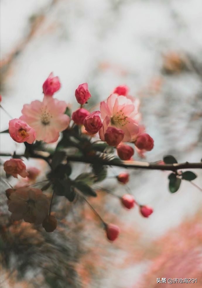 南乡子冯延巳表达了什么,冯延巳南乡子细雨湿流光