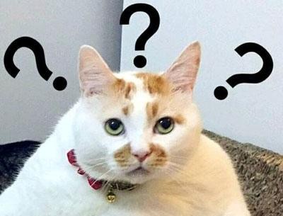 自学python具体能干什么,python是什么