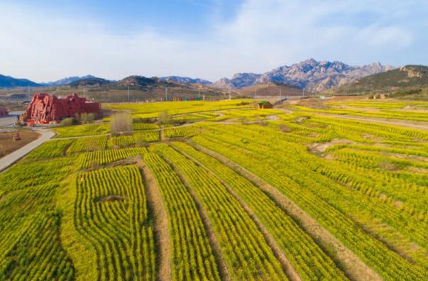 青岛景点景区介绍,青岛部分景区将恢复开放