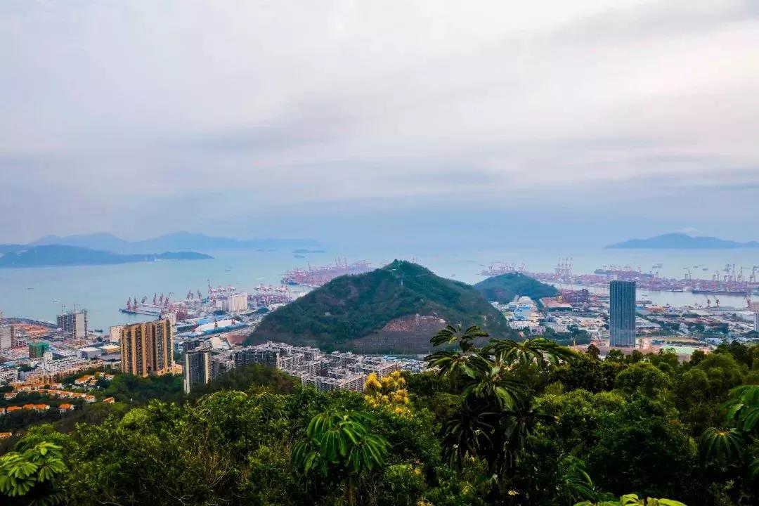 深圳遛娃必去景点免费过年,深圳适合儿童游玩的公园