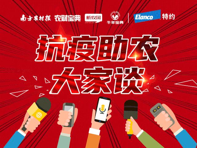 二元母猪价格高达13000万元!行业人士:*猪种**其实没有想象中紧缺‖抗疫助农大家谈.礼蓝动保特约