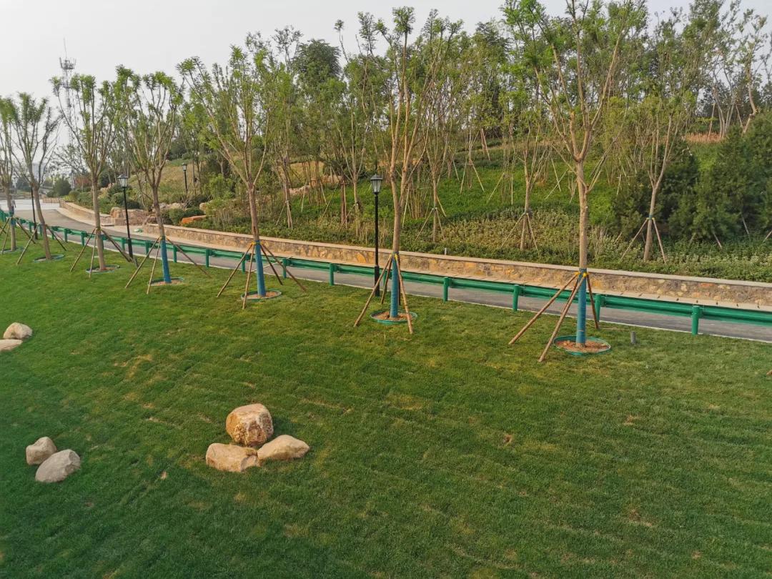 济南再添网红打卡地,济南又添网红打卡地