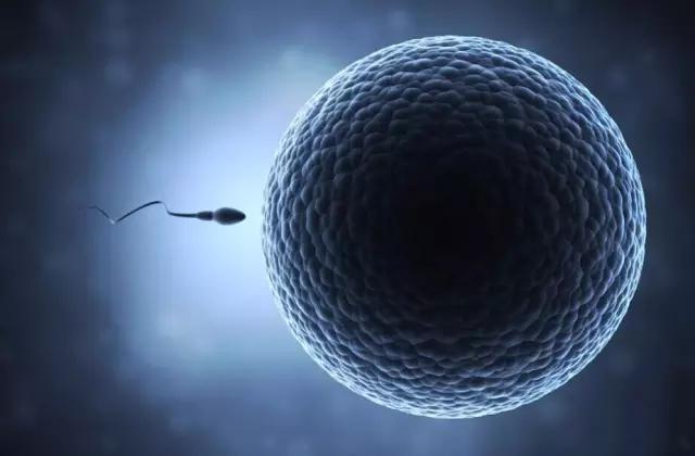 卵子排出后身体会有什么感觉,卵子排出一般会有什么感觉