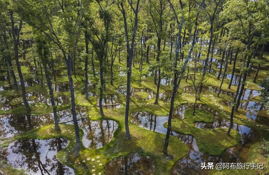 100个日本设计作品,2020日本优良设计奖