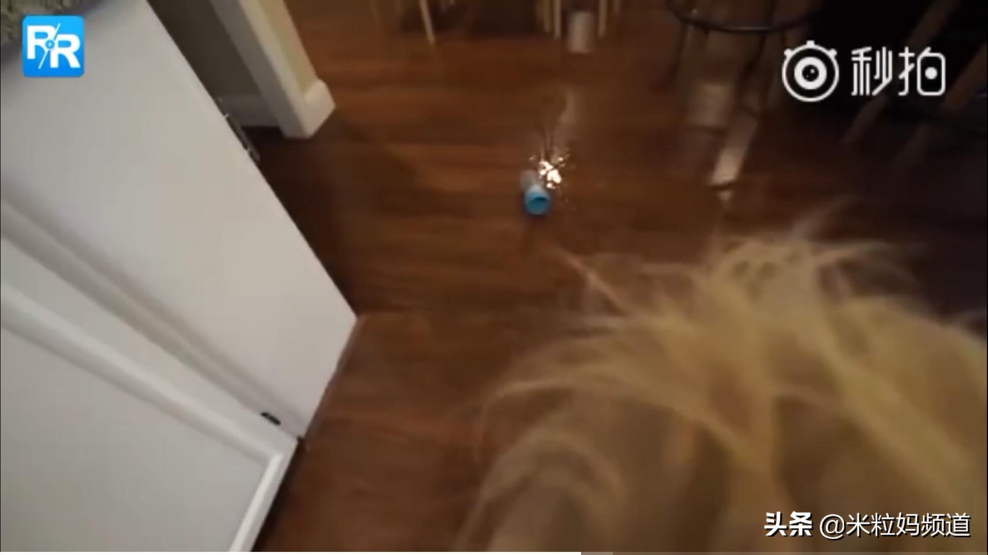 当三岁的儿子说，他要给一个特别的女孩做顿饭