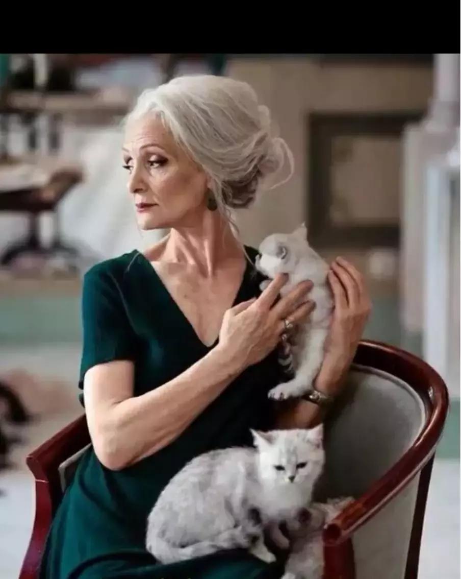 鏄熷姏妯＄壒缁忕邯鍏徃,鍖椾含椤剁骇妯＄壒缁忕邯鍏徃