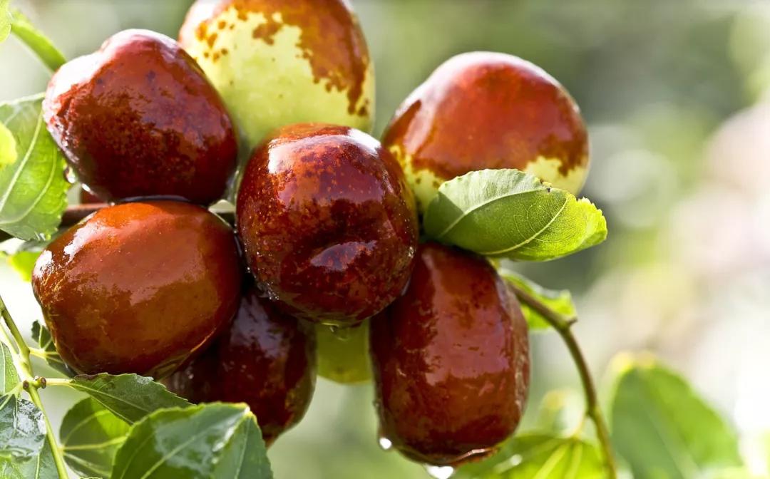 晚上睡觉大汗淋漓怎么回事,3岁宝宝晚上睡觉大汗淋漓