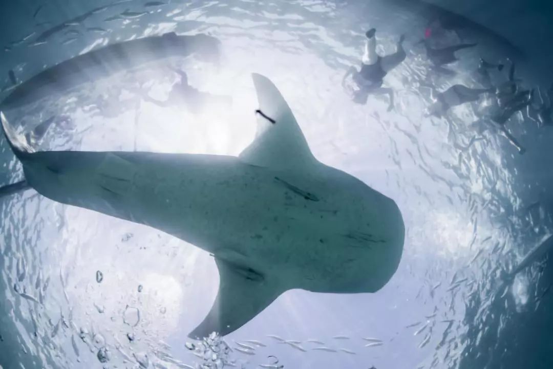 走过很多地方的诗句,走过很多地方原唱