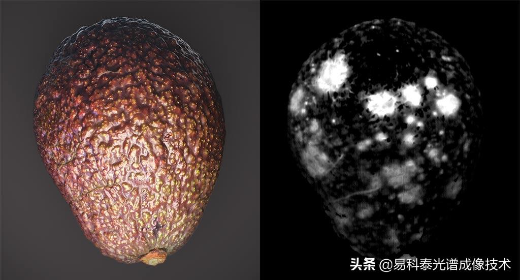 高光谱遥感技术监测流程,高光谱成像技术在农业领域的应用