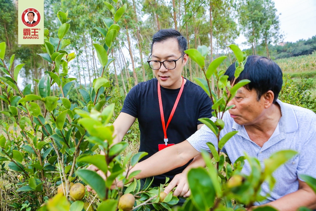 “买买买”有保障！京东溯源检查团带你探访霸王洗发水品质源头
