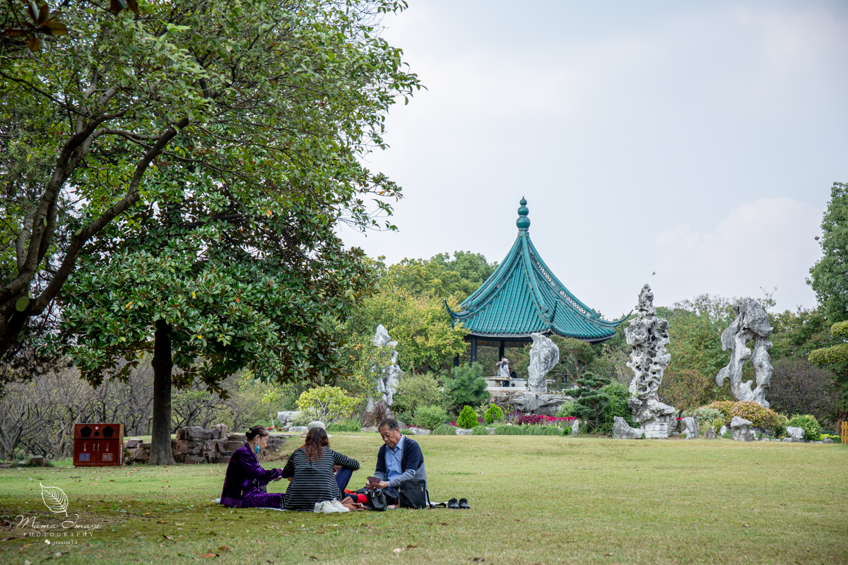 江南百年园林,江南私家园林所蕴含的人文情怀
