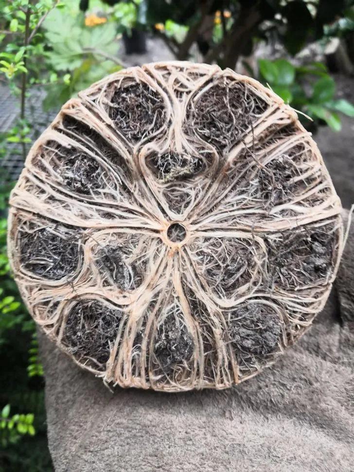 31张活久见的神奇自然照片,17张震撼人心的图片你看懂了几张