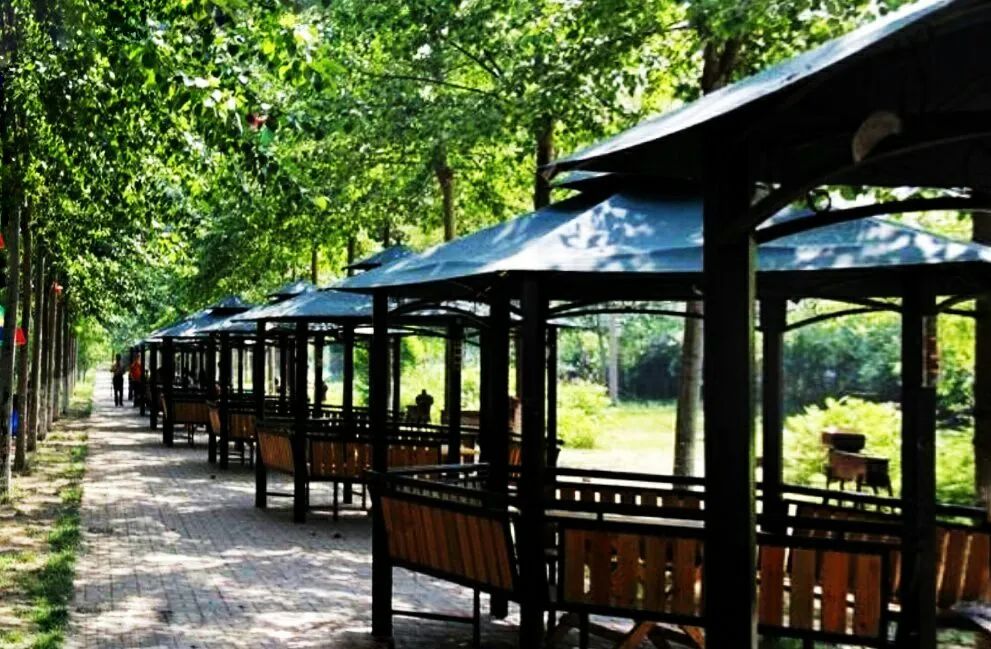 五一假期天津周边可以去哪里,周末适合出去玩的地方天津