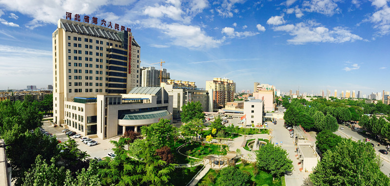 省市两级定点医院20多名专家组团省六院多项措施全面保障为农村贫困精神疾病患者排忧解难