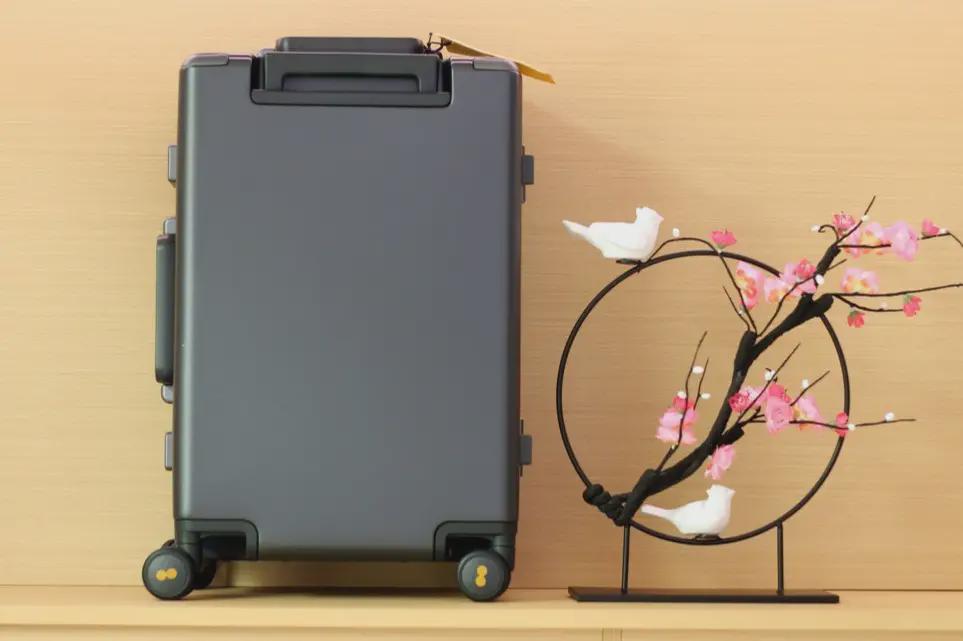 地平线8号28寸和90分旅行箱对比,地平线8号level8旅行箱测试