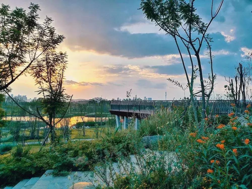 宛若美人卧成都，江家艺苑了解一下