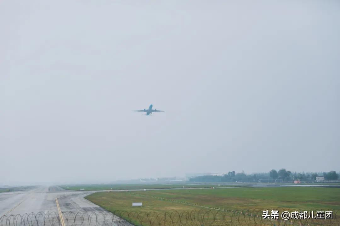 空港花田和空港体育公园哪个好,空港运动公园看飞机攻略