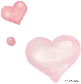 2018海沧中学高一,厦门一中海沧校区入学须知