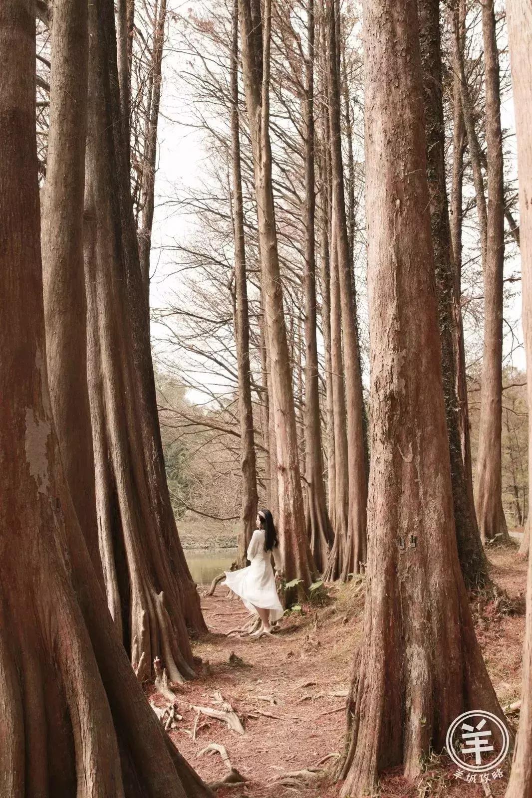 广州三八妇女节特惠景点晚上,广州哪里有三八妇女节免费景点