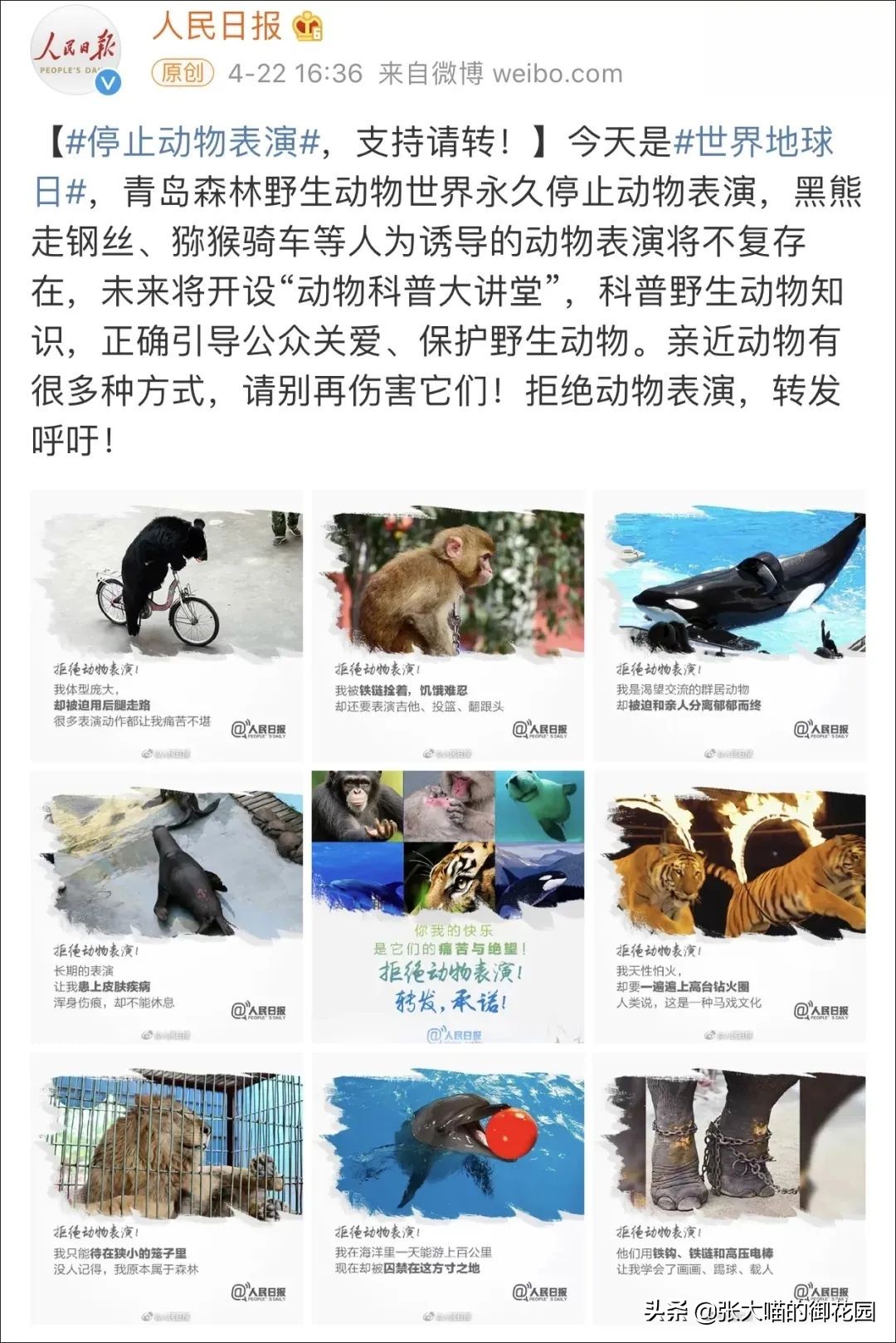老虎和狮子分离了多久,狮子是百兽之王老虎是森林之王