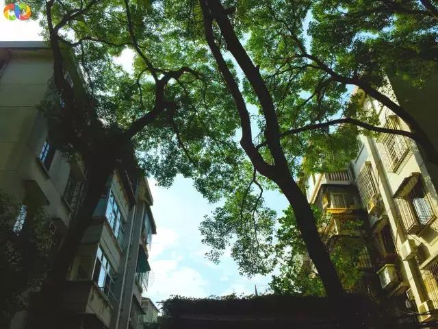 从平安路到桃园路的旧街，独属于老香洲的记忆