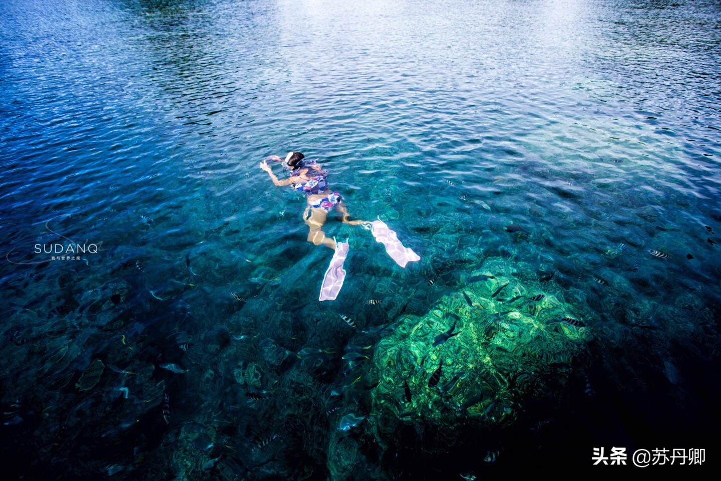 极限潜水死亡名单,潜水的死亡率高