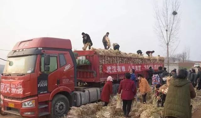 如果疫情再下去你能熬多久 (疫情我们能熬过去吗)