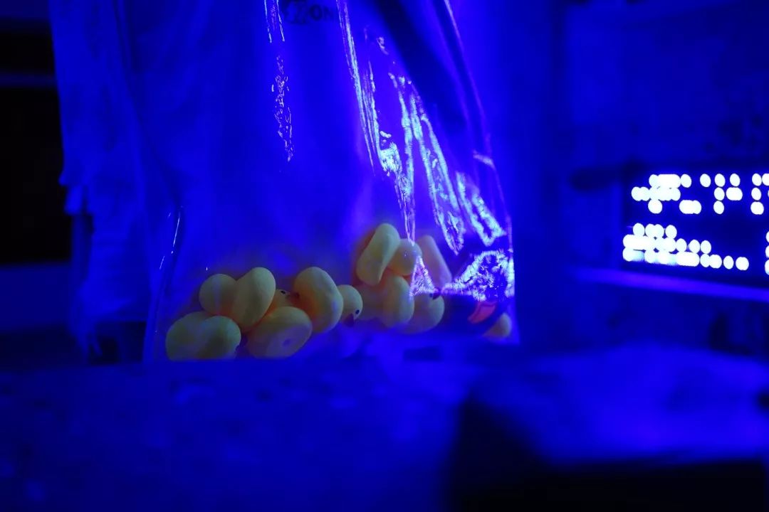 当心断缆警示标志,断片前有什么预警