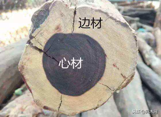 红木家具被虫蛀洞后如何修复,红木家具虫蛀怎样处理