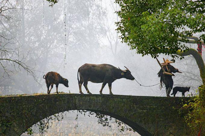 婺源哪个景点有玻璃桥,婺源景点排名一览表