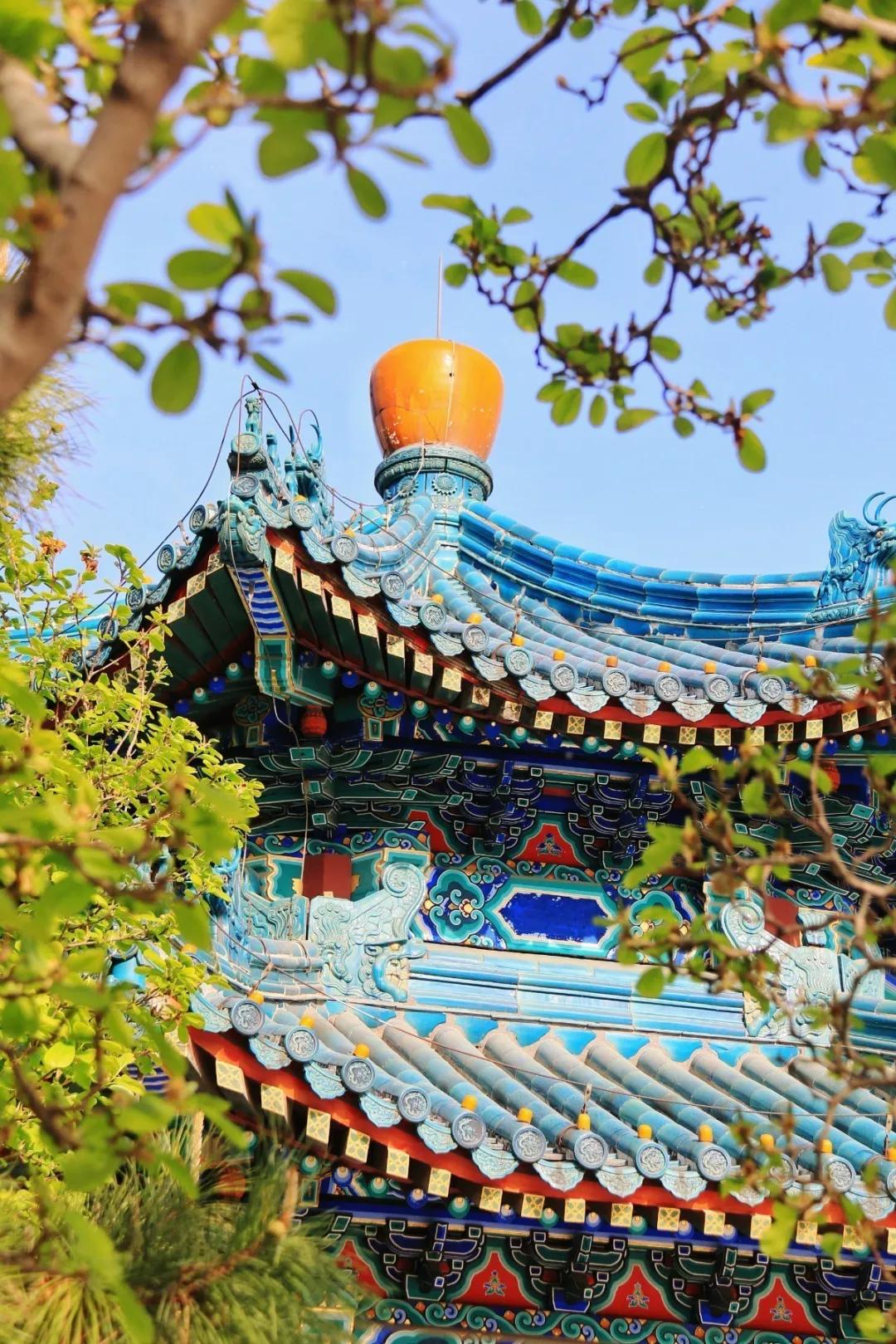 北京人少景美赏秋的公园,北京赏秋中山公园