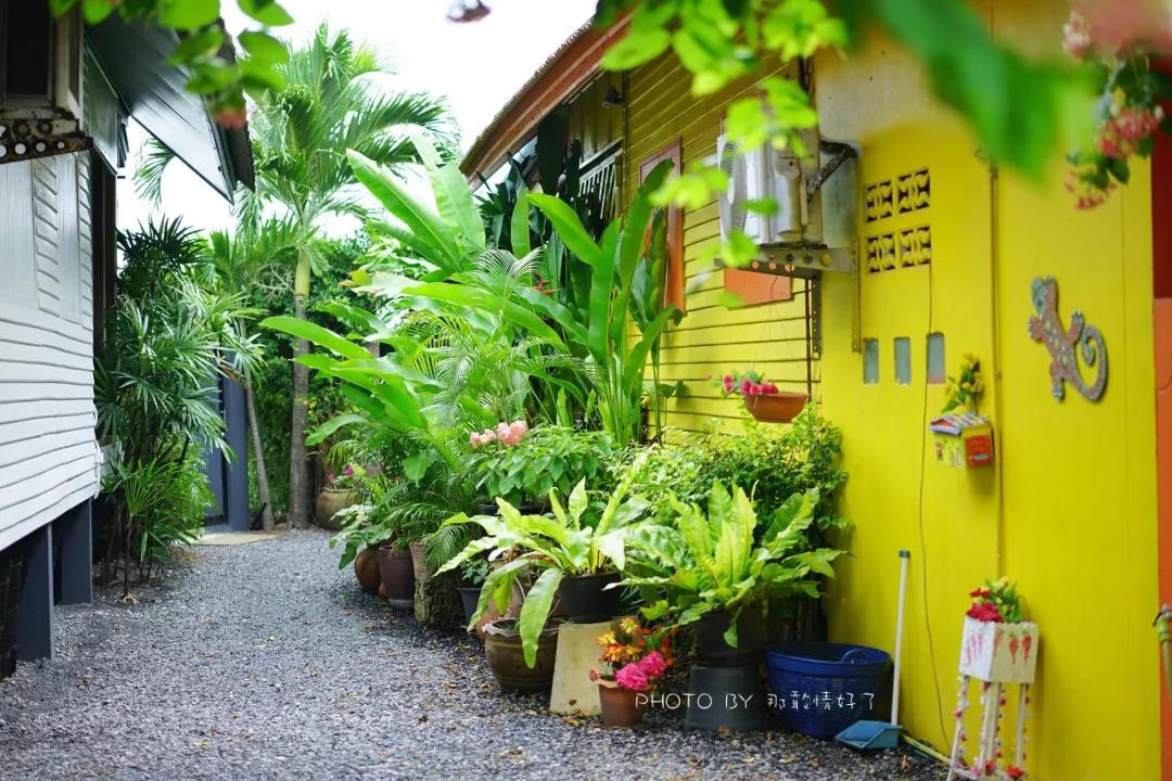 美国艺术家老夫妇定居苏梅岛十年，教游客画垃圾桶，唤醒环保意识