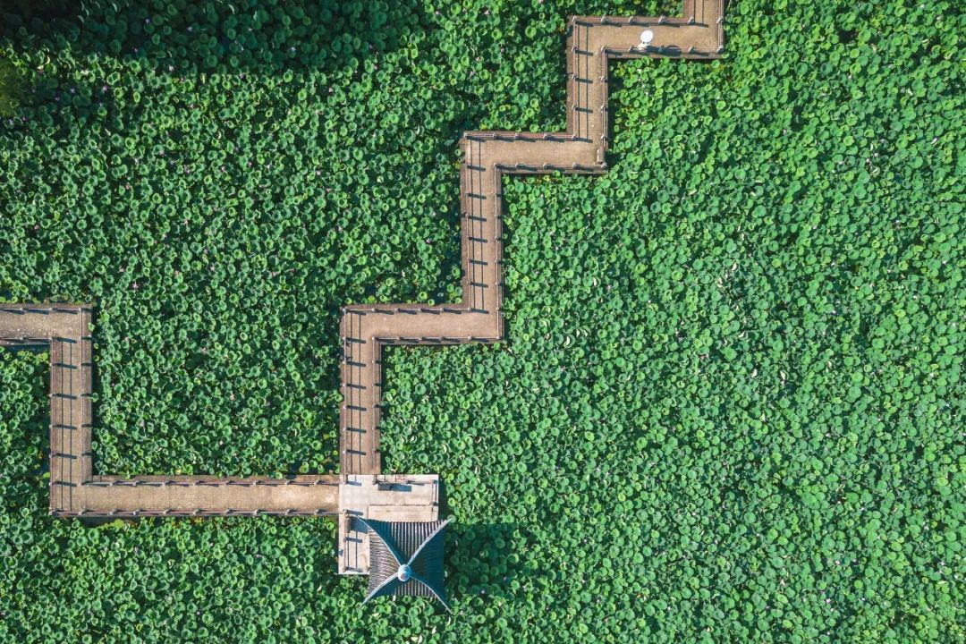 武汉公园免费景点推荐,武汉免费看花景点