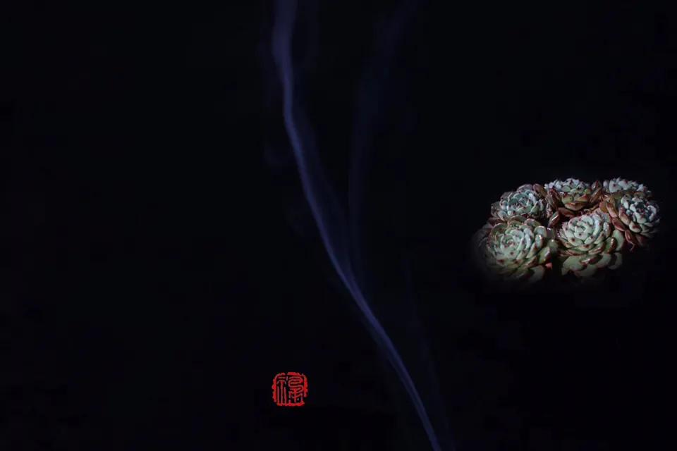 有所思全文,心有所思的美文