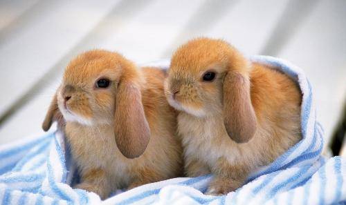 疫情的情况下做什么比较适合,疫情这几年最适合做的事情