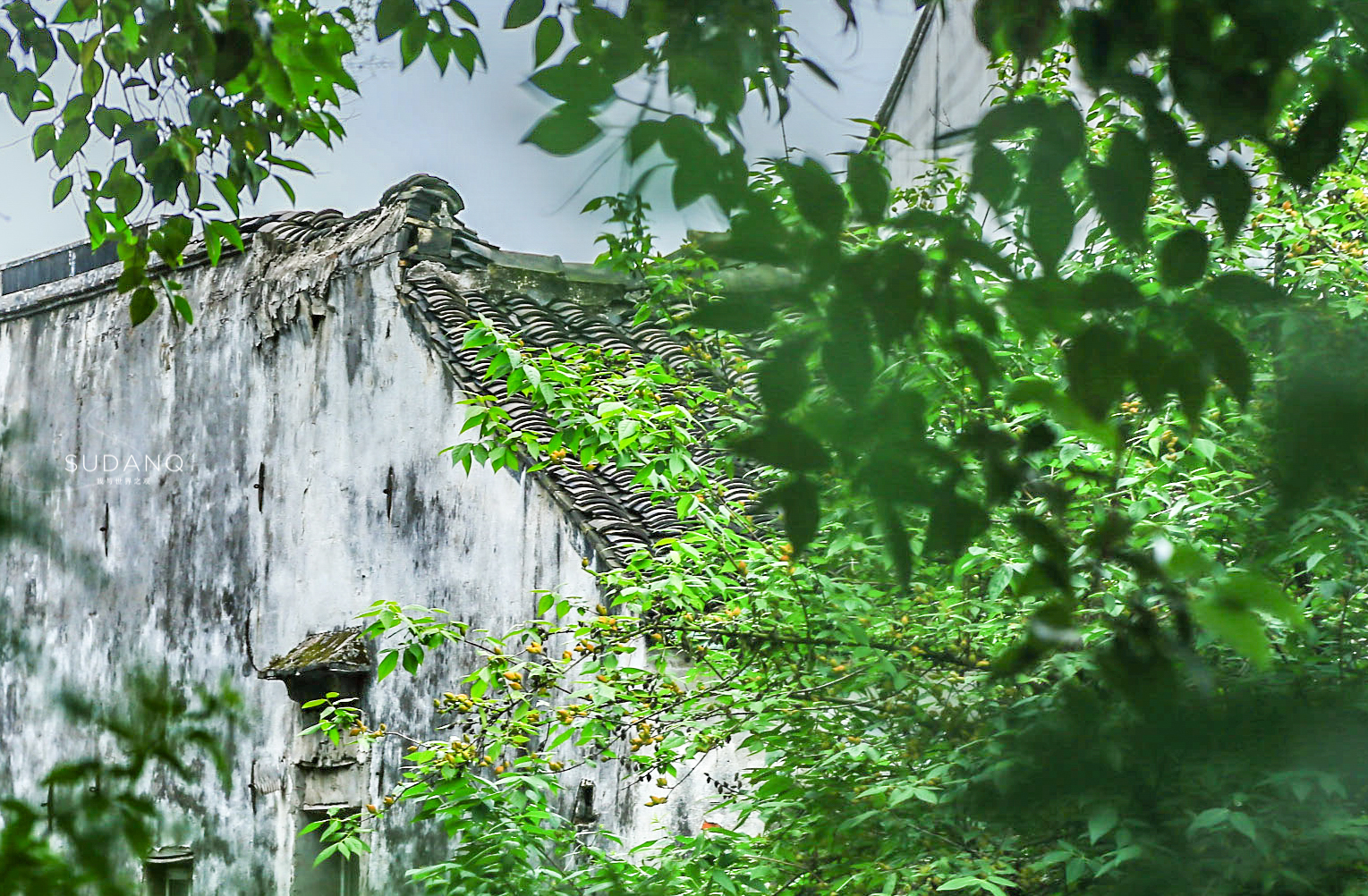 苏州最古色古香的古镇,苏州十大最美江南古镇