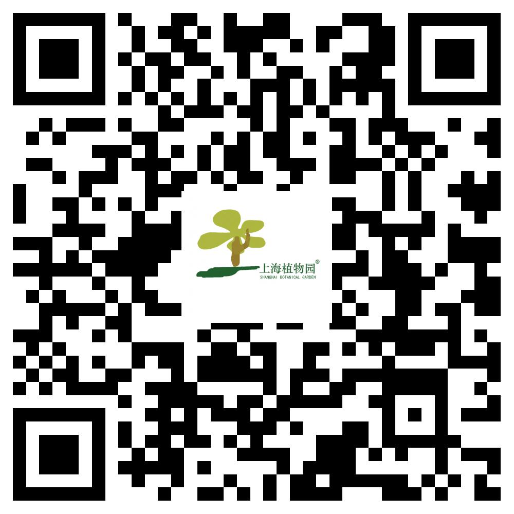 去公园没有身份证怎么办,公园网上预约没票去了怎么办