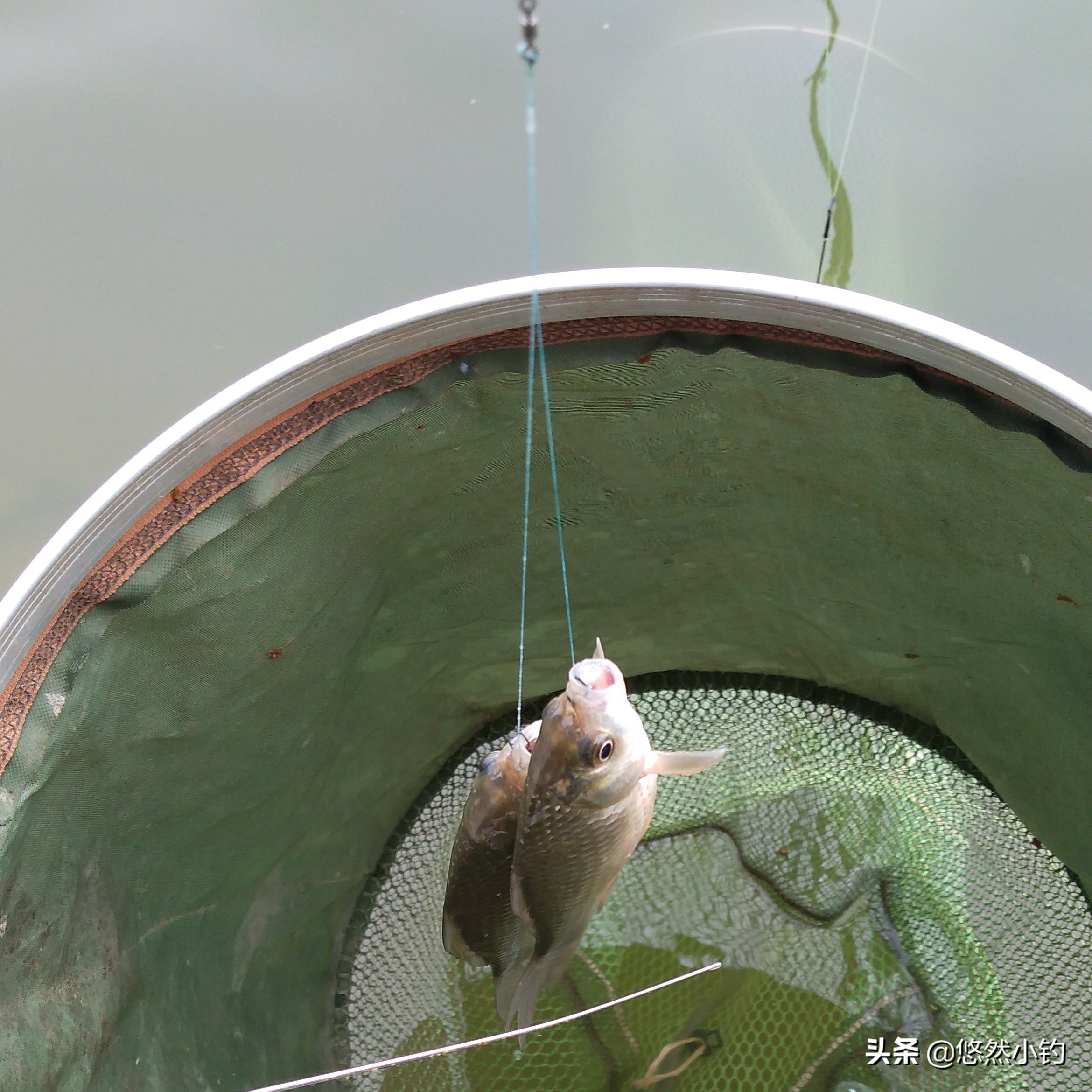 新手如何快速调漂精准找底,所有调漂找底正确方法与技巧