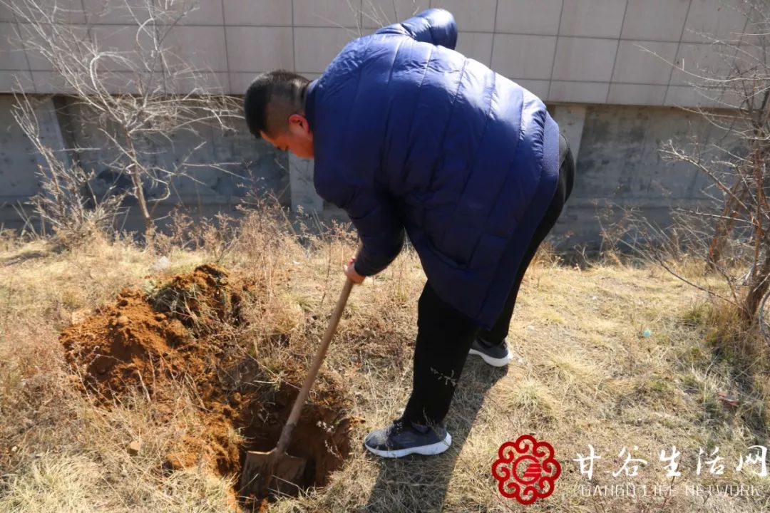 共植成长树，携手创业路——为甘谷这群创业青年打call！