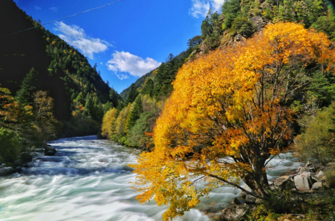九寨沟什么最美,川西九寨沟最好的风景