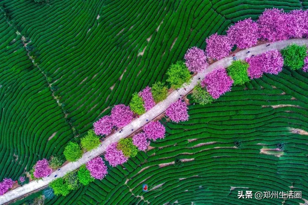 二月份适合去哪旅行,二月份最值得旅游的地点