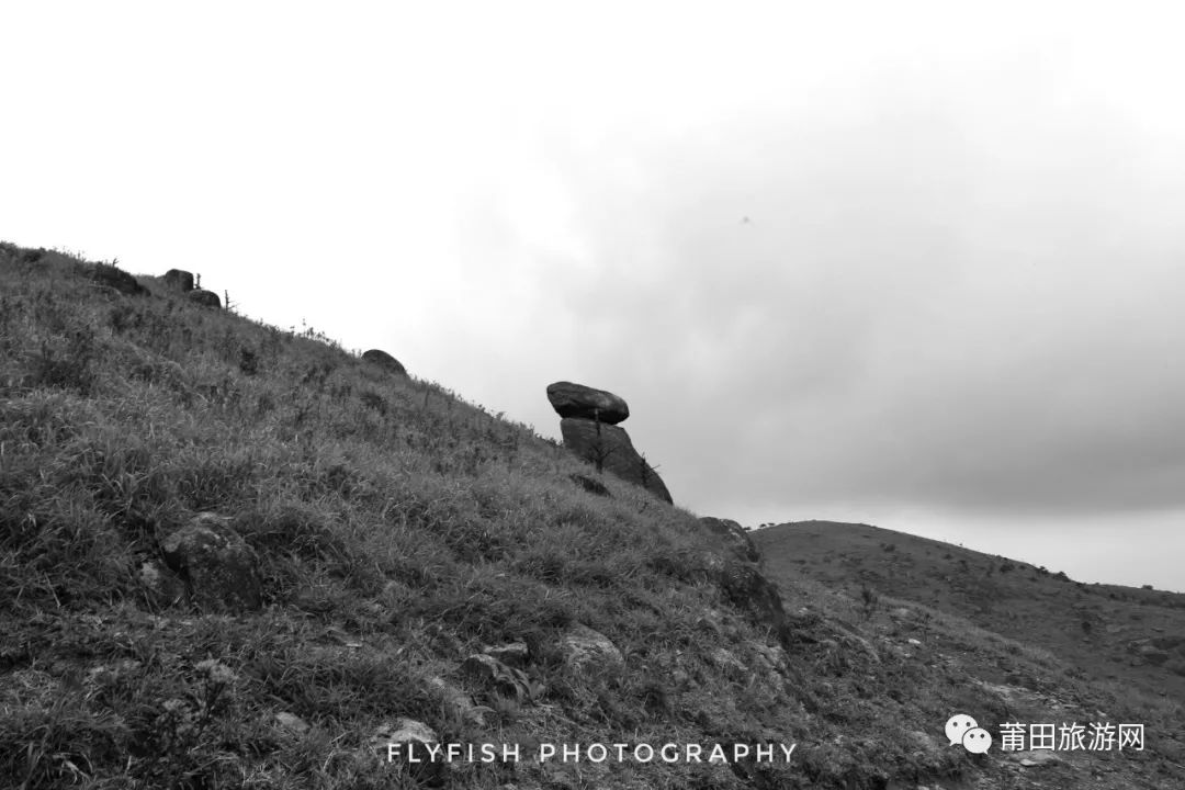 五月的山真的好美,五月的山的介绍