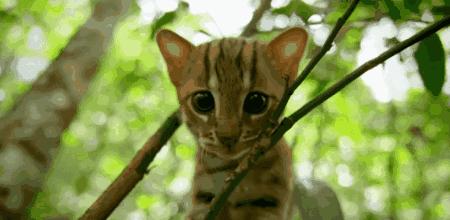 这6部电影足以秒杀大部分电影,十部必看旅行纪录片人文纪录片