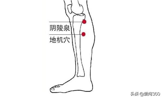 腿部粗壮、腿部肿胀别担心，学会按摩这几个穴位，坚持下去会有效